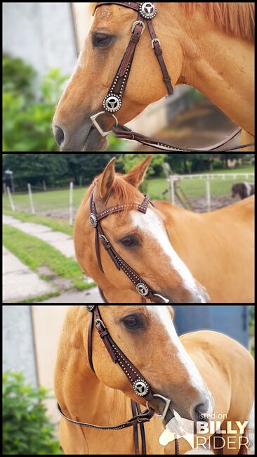 Westernshowtrense, Trense, Alina , Bridles & Headstalls, Greifswald, Image 4