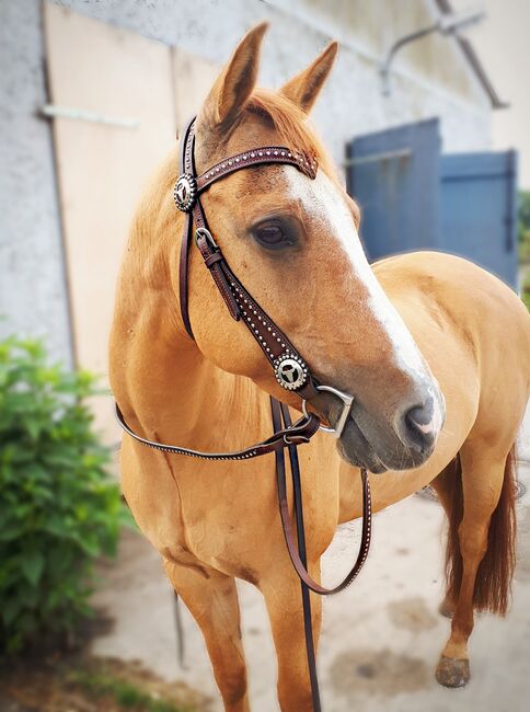 Westernshowtrense, Trense, Alina , Bridles & Headstalls, Greifswald, Image 2