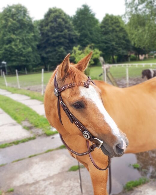 Westernshowtrense, Trense, Alina , Ogłowia, Greifswald, Image 3