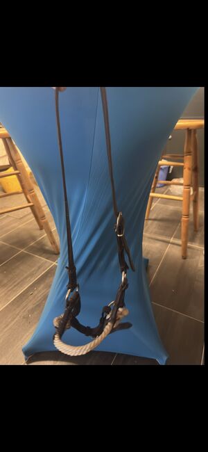Western Sidepull vs/cop, Lucy Scherer, Bitless Bridles, Saarbrücken