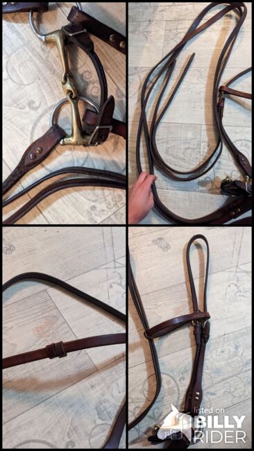 Westerntrense Kaltblut, Natascha Ecker , Bridles & Headstalls, Egenhofen, Image 6