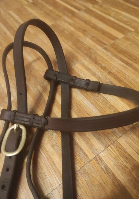 Westerntrense Leder, Nicht bekannt , Jodi, Bridles & Headstalls, Haag