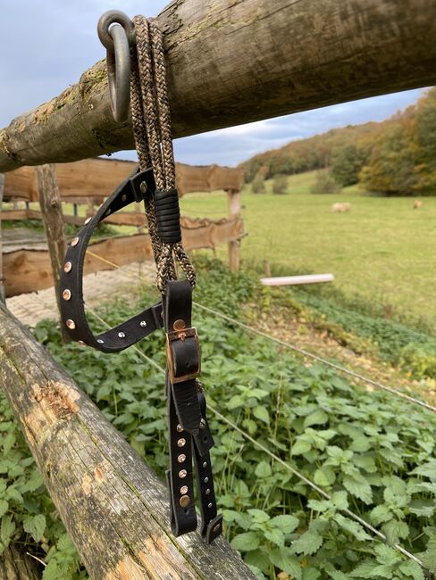 Westerntrense Einohr Kopfstück Leder Handgefertigt, Handgefertigt , Cowgirl , Bridles & Headstalls, Halver, Image 2