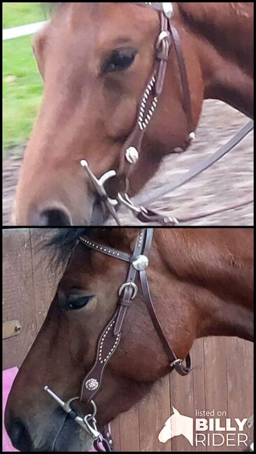 Westerntrense gr. Cob, Westerntrense, Bianca , Bridles & Headstalls, Paderborn, Image 3