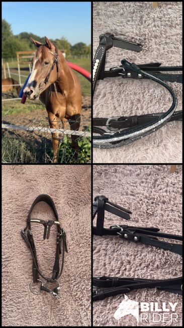 Westerntrense VB dunkelbraun, Mix-Match Krämer westerntrense , Jeannie Zeplin , Bridles & Headstalls, Lilienthal , Image 5