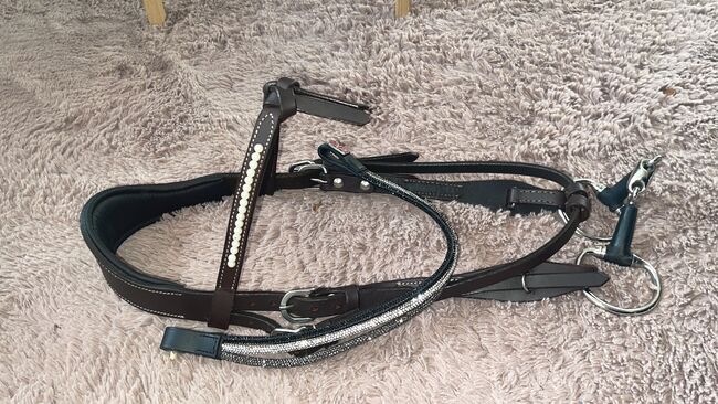 Westerntrense VB dunkelbraun, Mix-Match Krämer westerntrense , Jeannie Zeplin , Bridles & Headstalls, Lilienthal , Image 2