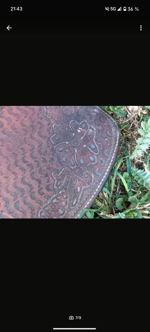 Westernsteigbügel und Fender, Janine , Saddle Accessories, Aerzen , Image 6