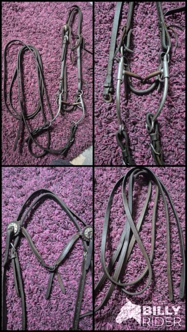 Western Trense, Bianca, Bridles & Headstalls, Wächtersbach, Image 6