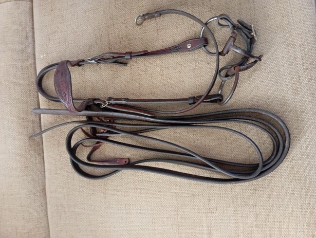 Westerntrense mit Gebiss und Zügel und Martingal, M. Pister , Bridles & Headstalls, Großrosseln 