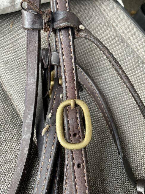 Western Trense, Iris , Trensen, Borken/Hessen, Abbildung 3