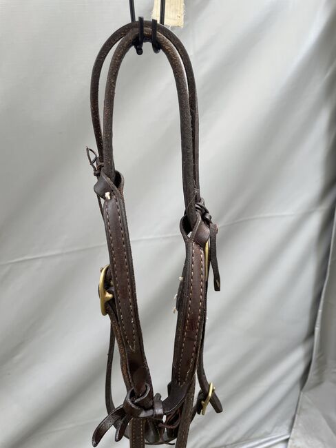 Western Trense, Iris , Trensen, Borken/Hessen