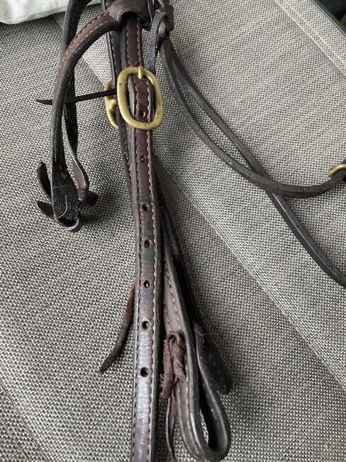 Western Trense, Iris , Trensen, Borken/Hessen, Abbildung 4