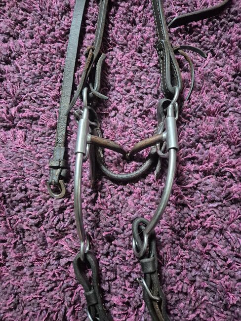 Western Trense, Bianca, Bridles & Headstalls, Wächtersbach, Image 3