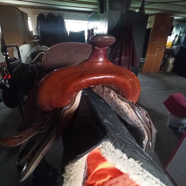 Western Sattel, Montana USA, Sylvia Haneklaus, Western Saddle, Nordhorn, Image 3