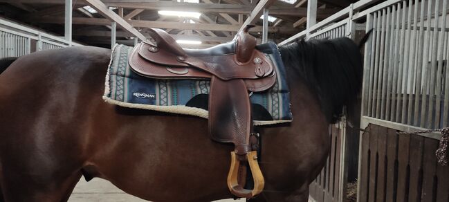 Westernsattel, Triple W Platinum, Heike, Western Saddle, Dülmen, Image 13