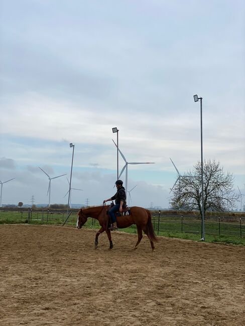 Westernreiten Vollberitt, J.B.Silver Ranch , Reitunterricht, Barlt , Abbildung 9