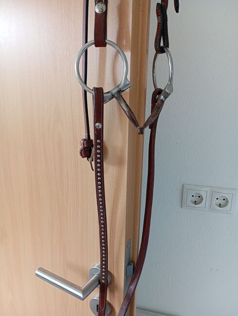 Westernreithalfter, Jessi, Reithalfter, Waakirchen , Abbildung 4