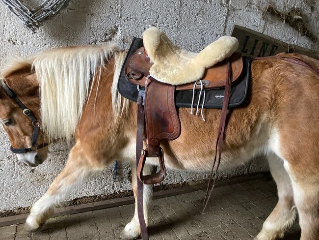 Westernsattel, Continental Saddlery Co., Janina Röhrig, Westernsattel, Braunfels, Abbildung 2