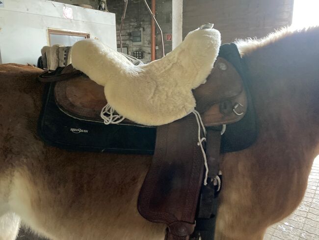 Westernsattel, Continental Saddlery Co., Janina Röhrig, Westernsattel, Braunfels, Abbildung 8