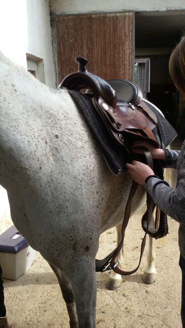 Westernsattel Deuber und Partner, Deuber und Partner , Manuela Hubner , Westernsattel, Ortenburg , Abbildung 4