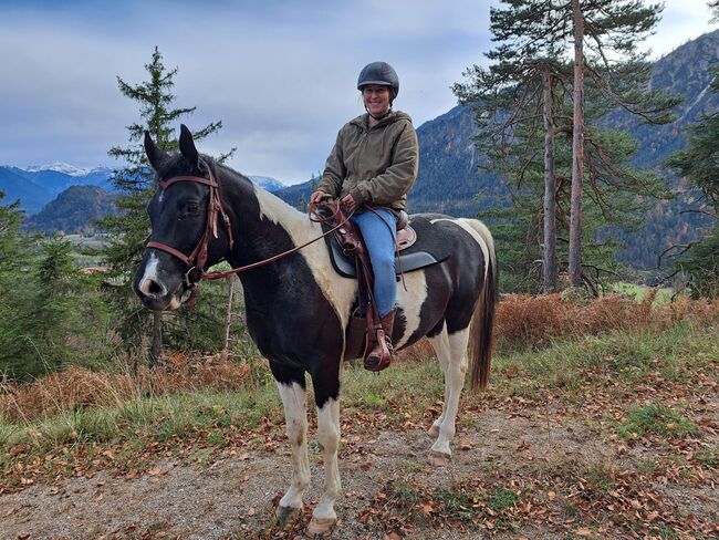Westernsattel Deuber & Partner Trail Raider, Deuber & Partner Trail Raider, Julia, Westernsattel, Rieden, Abbildung 3