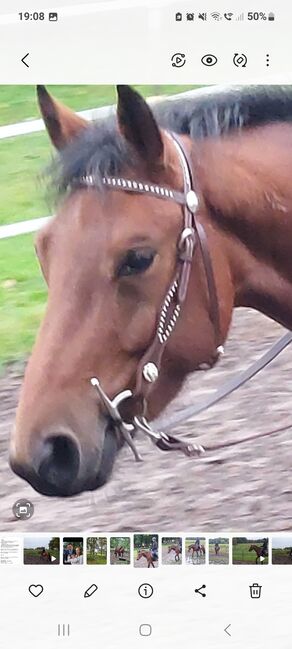 Westerntrense gr. Cob, Westerntrense, Bianca , Trensen, Paderborn