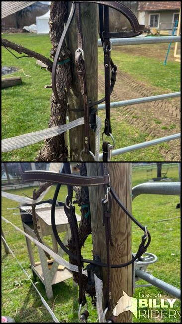 Westerntrense/ Westernbridle Kaltblut/XFull, Stonedeek, Lena, Bridles & Headstalls, Leibnitz, Image 3