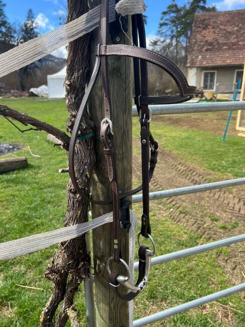 Westerntrense/ Westernbridle Kaltblut/XFull, Stonedeek, Lena, Ogłowia, Leibnitz
