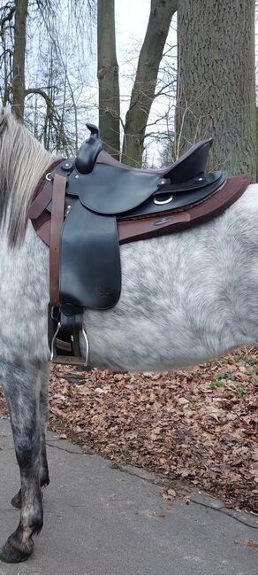 Westernsattel 15 Zoll von J. v. G., J. v. G. Modell Western von J. v. G., Katja , Western Saddle, Ahrensburg