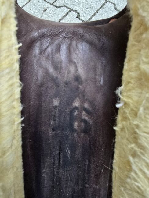 Westernsattel, Equiflex, Horse and Rider, HR, 16", 11/19, Horse and Rider, Tamara, Western Saddle, Würzburg, Image 5