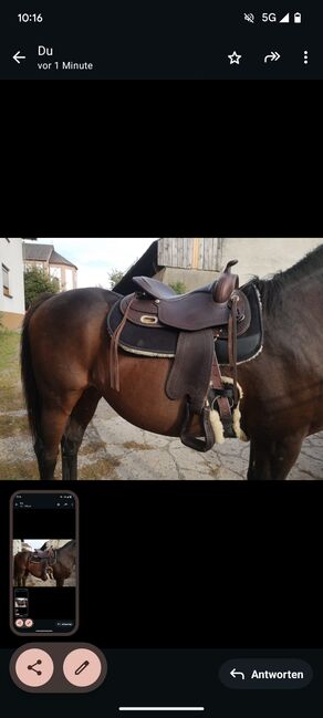 Westernsattel Freemax  Büffelleder (inkl. Pad und Sattelgurt), Freemax, Katharina Schwarz , Western Saddle, Darmstadt , Image 7