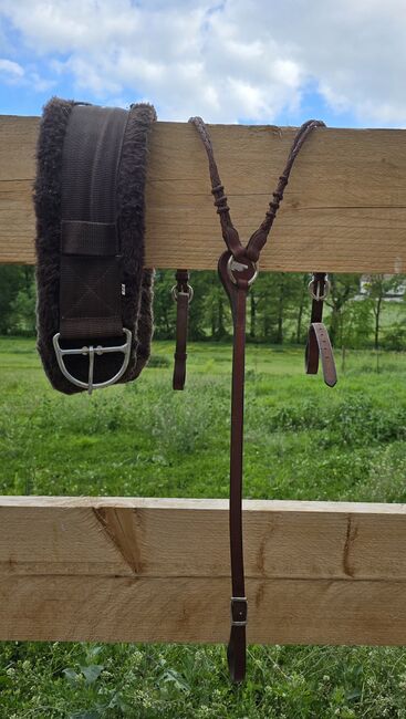 Western Sattel Reining Westernsattel Western Imports Basket Reiner Pad Gurt Vorderzeug, Western Imports  Basket Reiner , Nicole Baumgärtel , Western Saddle, Ronneburg , Image 16