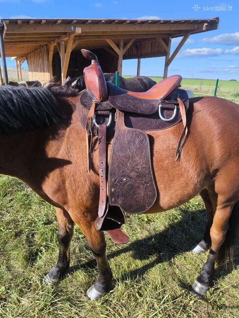 Westersattel Mesace, Mesacé -, Ausra Sun, Western Saddle, Rüdersdorf