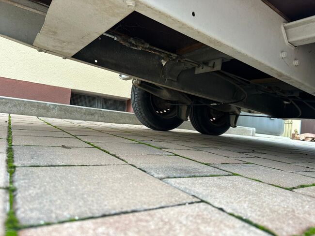❗️Westfalia Pferdeanhänger Pferdehänger Viehhänger, Westfalia , Fuchs Daniel, Ellgau - Pferdeanhänger seit 2016  (Nutzfahrzeughandel und Vermietung Daniel Fuchs ), Horse Trailers, Ellgau , Image 8