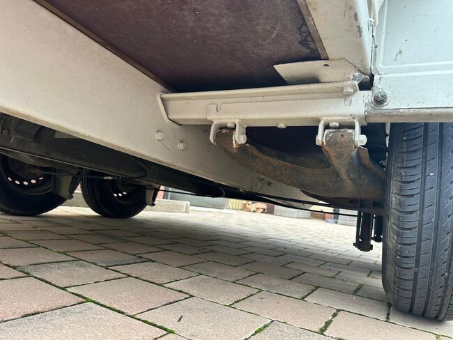 ❗️Westfalia Pferdeanhänger Pferdehänger Viehhänger, Westfalia , Fuchs Daniel, Ellgau - Pferdeanhänger seit 2016  (Nutzfahrzeughandel und Vermietung Daniel Fuchs ), Przyczepa konna, Ellgau , Image 12