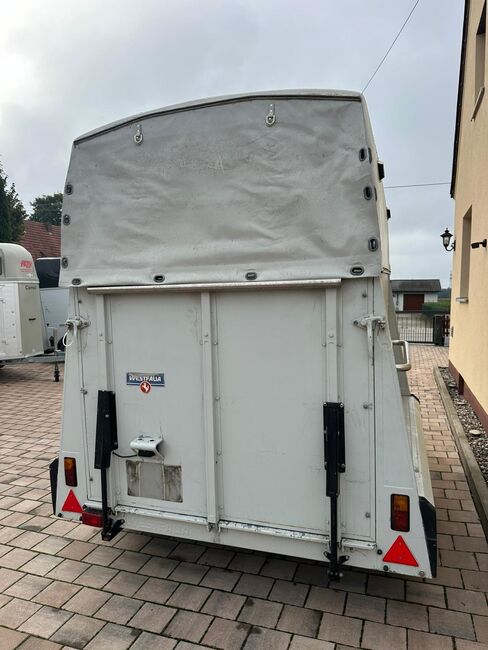 ❗️Westfalia Pferdeanhänger Pferdehänger Viehhänger, Westfalia , Fuchs Daniel, Ellgau - Pferdeanhänger seit 2016  (Nutzfahrzeughandel und Vermietung Daniel Fuchs ), Przyczepa konna, Ellgau , Image 4