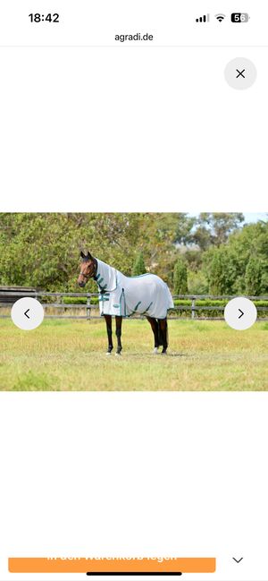 Wetherbeeta Fliegendecke 155cm neu, Weatherbeeta , Petra , Fliegenschutz, Hunderdorf, Abbildung 2