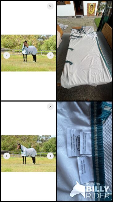 Wetherbeeta Fliegendecke 155cm neu, Weatherbeeta , Petra , Fliegenschutz, Hunderdorf, Abbildung 10