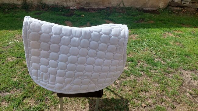 Weisse turnier schabracke, Felix Bühler , Nicola , Dressage Pads, Leese, Image 2