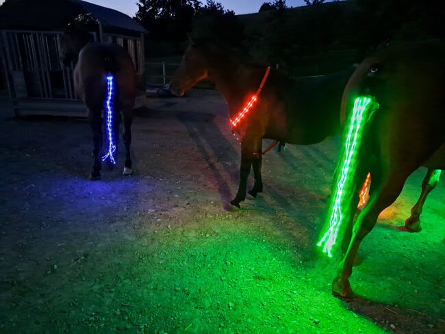 LED Sicherheitsleuchte Vorgeschirr- und Schweifleuchte SET, Hellleuchtendes Vorgeschirr und Schweifleuchte, Sandra Anna, Kaski, Tecknau