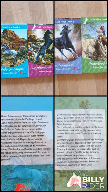 Bücher "Wild Horse Creek" 1-4 - Sharon Siamon, Pony Club, Jenni // Polarstern, Książki, Beeskow, Image 7