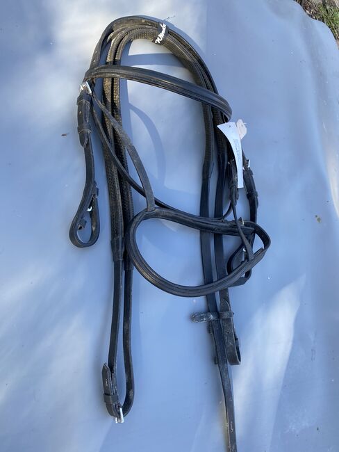 Windsor cob bridle and reins, Windsor, Zoe Chipp, Bridles & Headstalls, Weymouth, Image 2