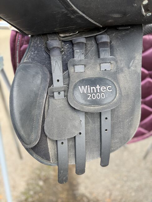 Wintec 2000 All Purpose 17 Zoll - 2 Jahre alt, Wintec 2000 All Purpose, Manuela G., Siodła wszechstronne, Schallbach, Image 9