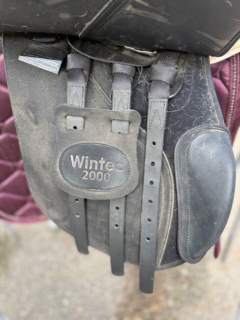 Wintec 2000 All Purpose 17 Zoll - 2 Jahre alt, Wintec 2000 All Purpose, Manuela G., Siodła wszechstronne, Schallbach, Image 11