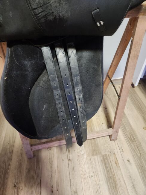 Wintec 2000 Sattel, Wintec , Maus , All Purpose Saddle, Friedeburg , Image 4