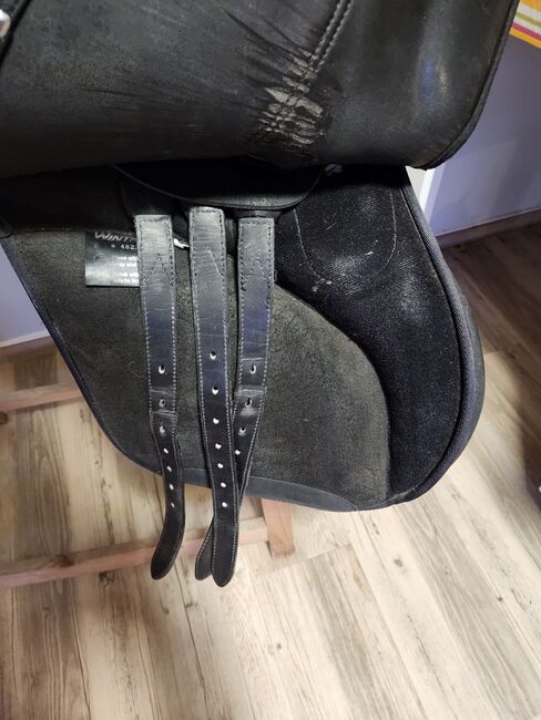 Wintec 2000 Sattel, Wintec , Maus , All Purpose Saddle, Friedeburg , Image 6