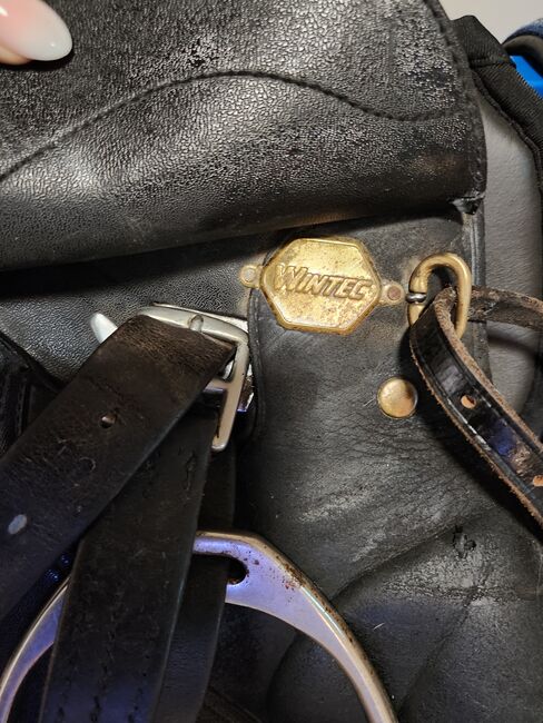Wintec  2000 Sattel ......, Wintec , Maus , All Purpose Saddle, Friedeburg , Image 8