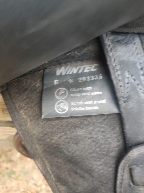 Wintec 2000 Sattel, Wintec  2000, Tillmann, All Purpose Saddle, Remagen , Image 3