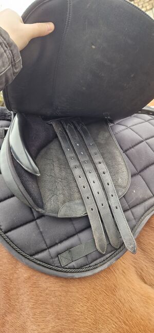 Wintec 2000 vs sattel 18 zoll schwarz, Wintec 2000, Lena, All Purpose Saddle, Stralsund, Image 3