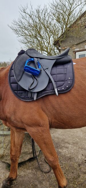 Wintec 2000 vs sattel 18 zoll schwarz, Wintec 2000, Lena, All Purpose Saddle, Stralsund, Image 4